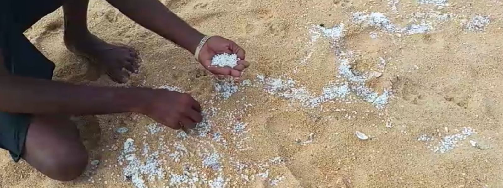 Microplastic Cleanup Underway In Sri Lanka